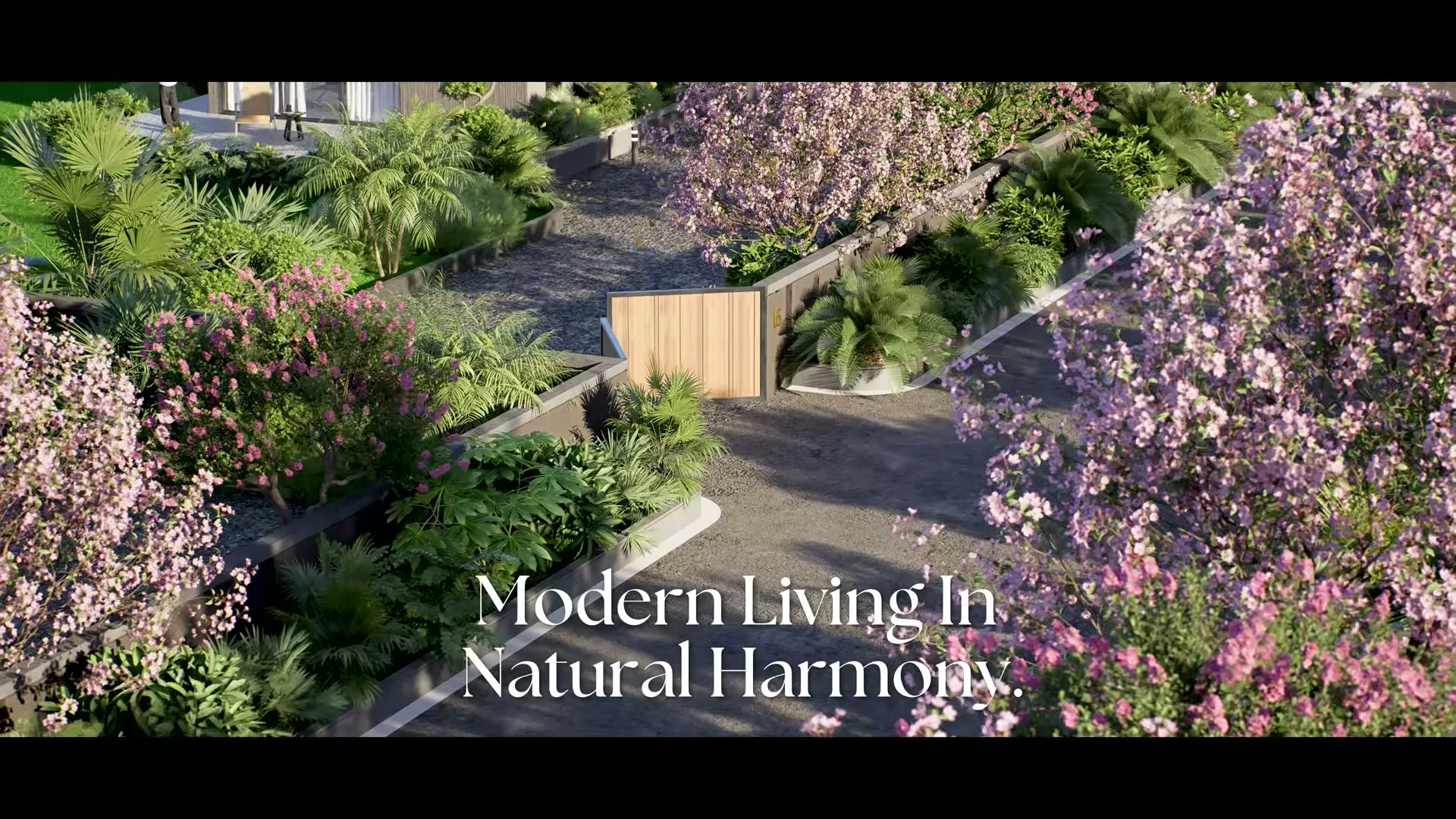 A tree-lined internal road at Tranquil Farms, planted on both sides with flowering trees